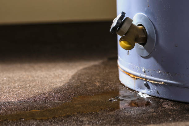  Franklin, MI Water damage restoration Pros