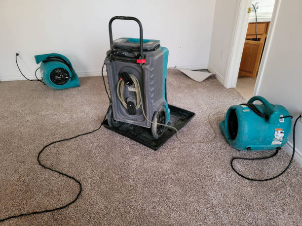 Best Water damage restoration near me  in Franklin, MI
