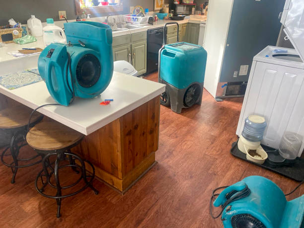 Best Professional water damage repair  in Franklin, MI