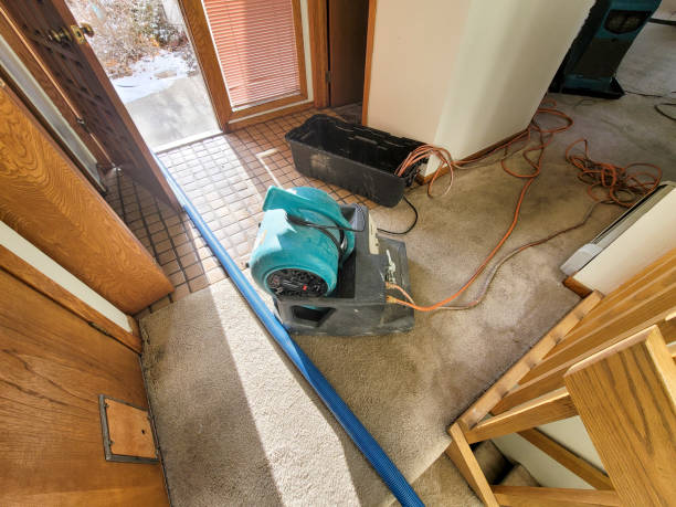 Best Mold removal after water damage  in Franklin, MI