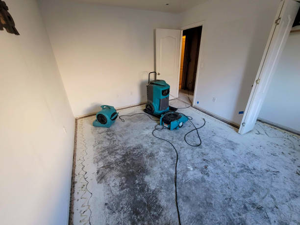 Best Mold removal after water damage  in Franklin, MI