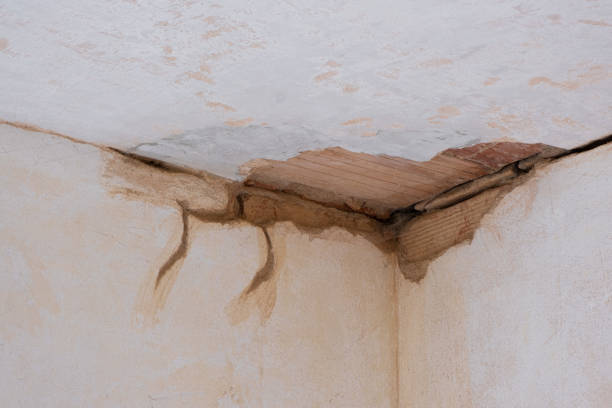 Best Flooded house restoration  in Franklin, MI