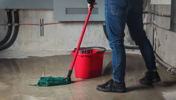 Best Commercial water damage restoration  in Franklin, MI
