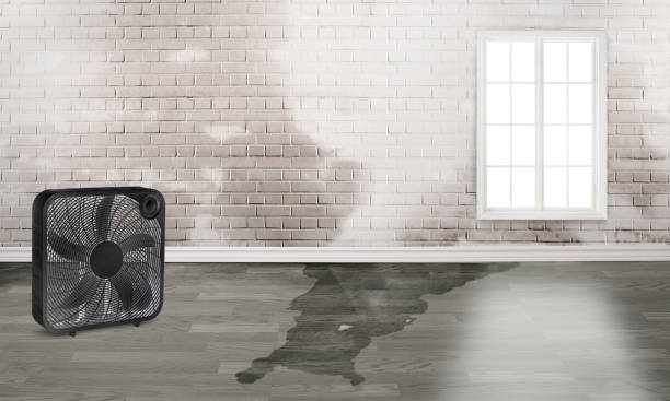 Best 24-hour water damage restoration  in Franklin, MI
