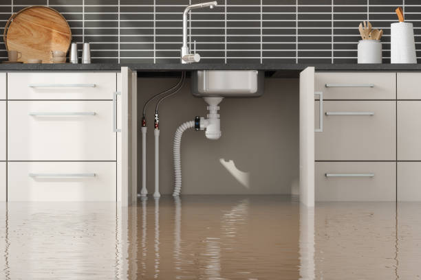 Best Residential water damage restoration  in Franklin, MI