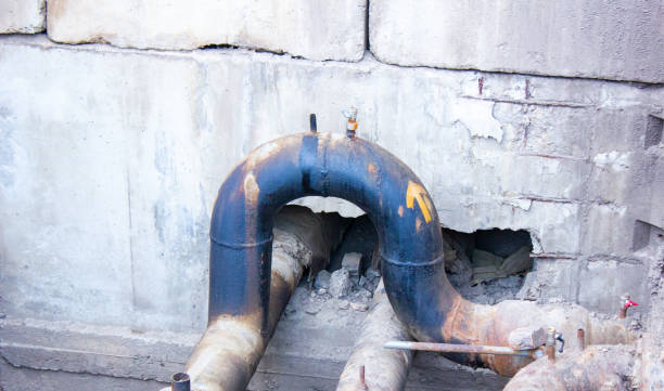 Best Water damage restoration mold remediation  in Franklin, MI