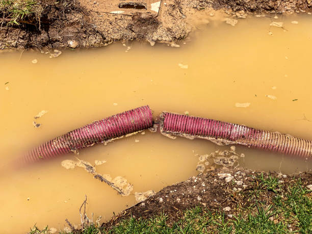 Reliable Franklin, MI Water damage restoration Solutions