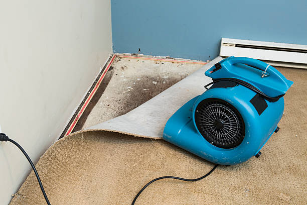 Carpet water damage restoration in Franklin, MI