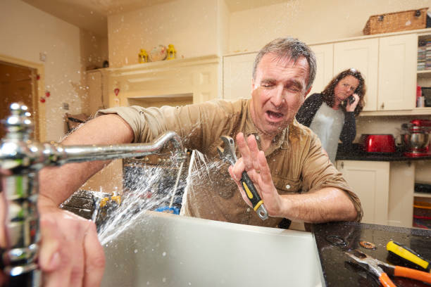 Best Local water damage restoration  in Franklin, MI